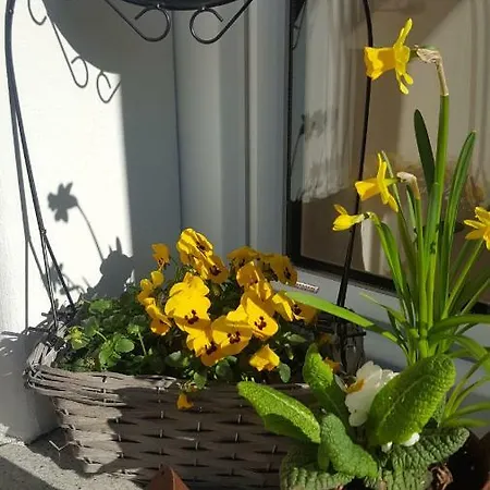 Apartman Traumplatz, Wildblumen Goldegg