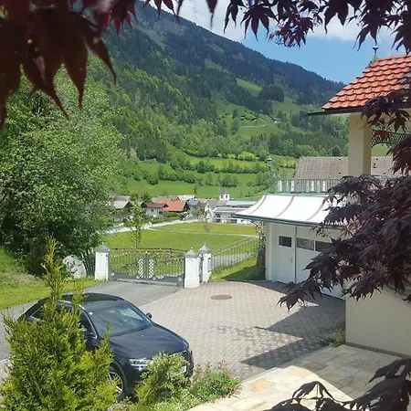 Traumplatz, Wildblumen *