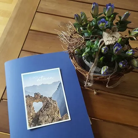 Traumplatz, Wildblumen * Goldegg